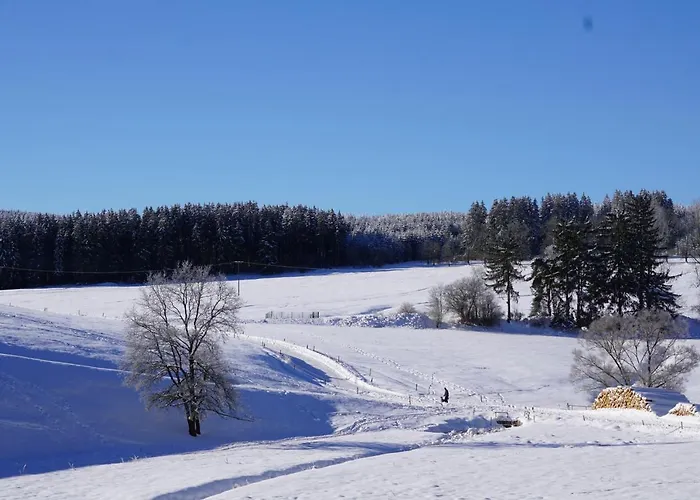 Wanderlust - Thueringer Wald, Rennsteig, Finsterbergen