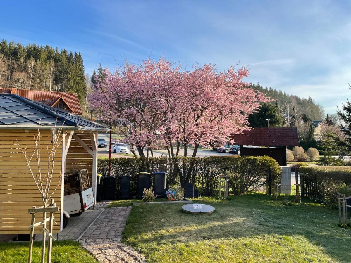 Apartment Wanderlust - Thueringer Wald, Rennsteig, Finsterbergen Friedrichroda