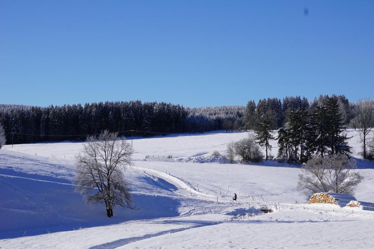 Wanderlust - Thueringer Wald, Rennsteig, Finsterbergen Apartment *