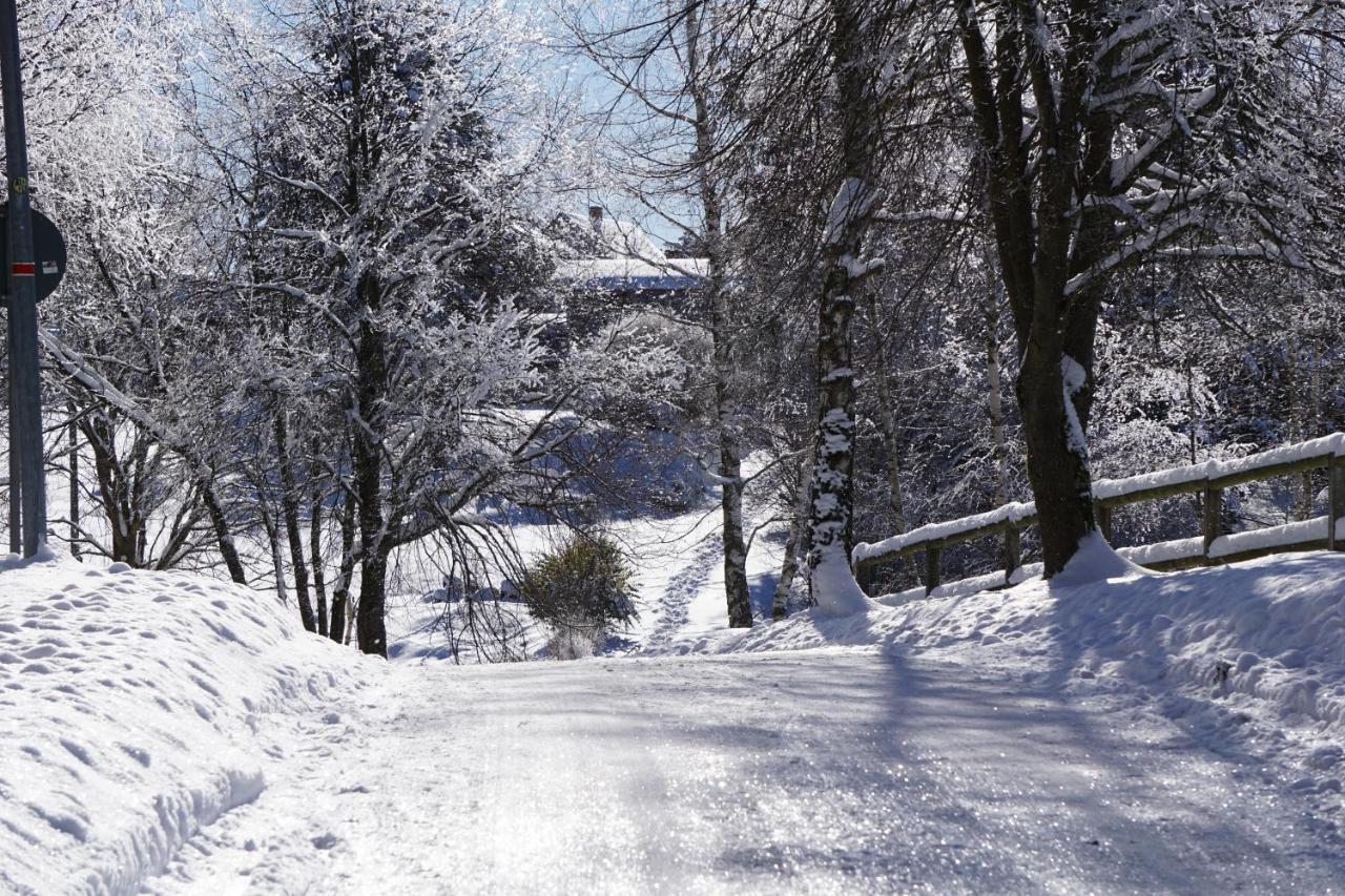 Apartment Wanderlust - Thueringer Wald, Rennsteig, Finsterbergen