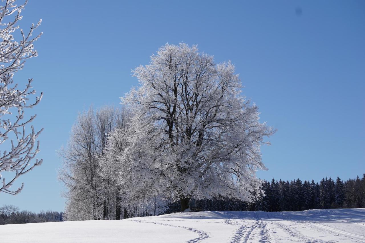 Apartment Wanderlust - Thueringer Wald, Rennsteig, Finsterbergen Friedrichroda