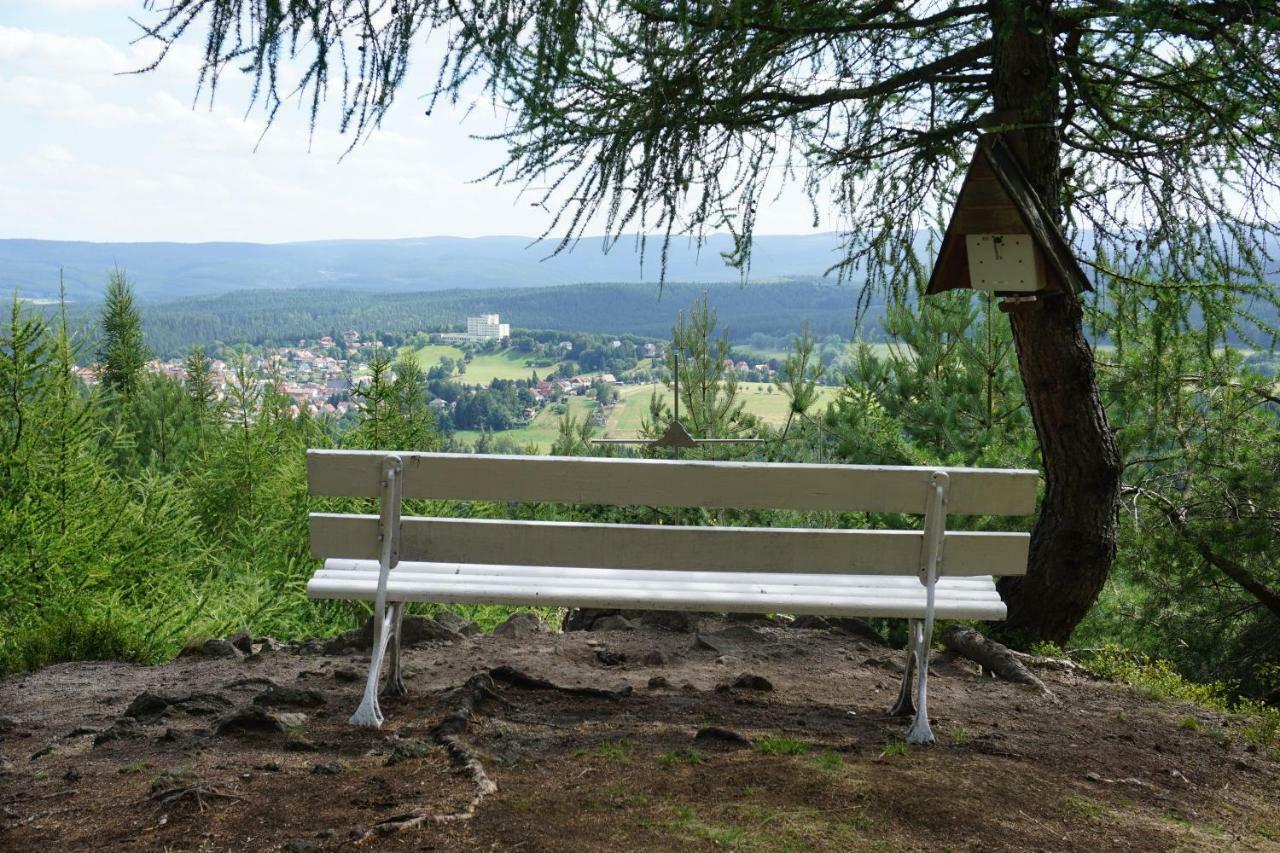 Wanderlust - Thueringer Wald, Rennsteig, Finsterbergen Apartment *